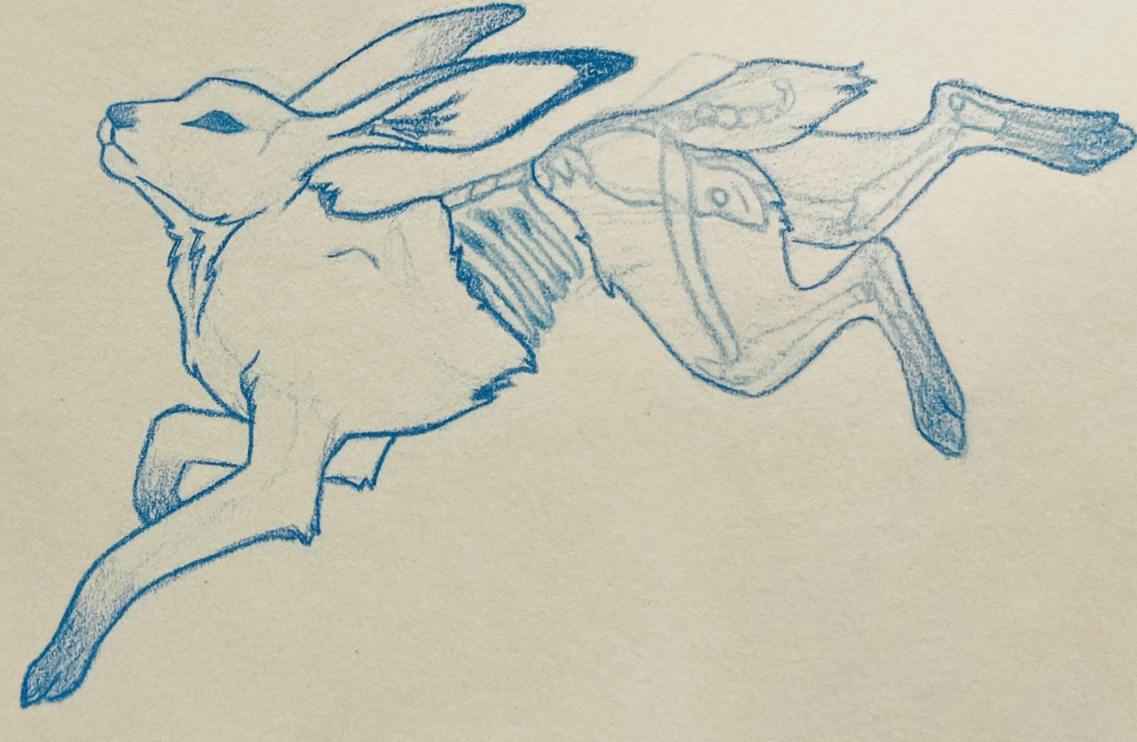 White Rabbit's Limbo; colored pencil 2025